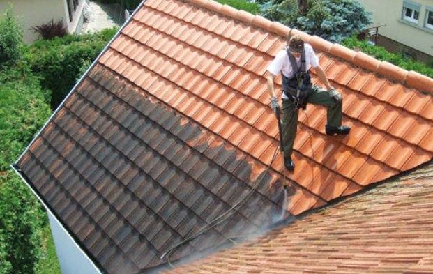 Démoussage de toiture : quand et pourquoi le faire ?